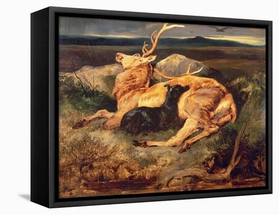 Stag-Edwin Henry Landseer-Framed Premier Image Canvas