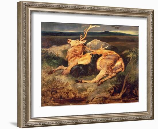 Stag-Edwin Henry Landseer-Framed Giclee Print