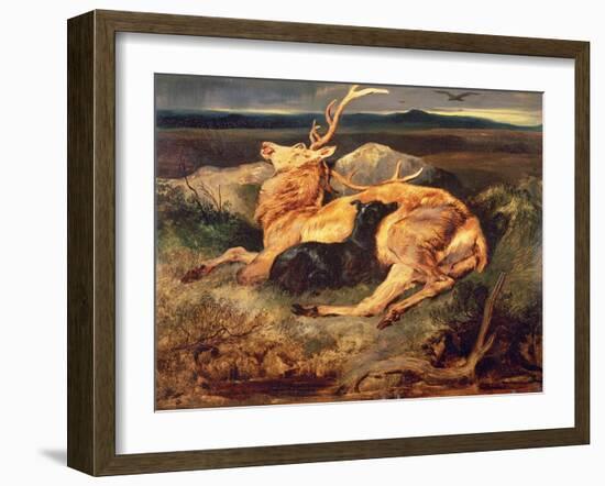 Stag-Edwin Henry Landseer-Framed Giclee Print