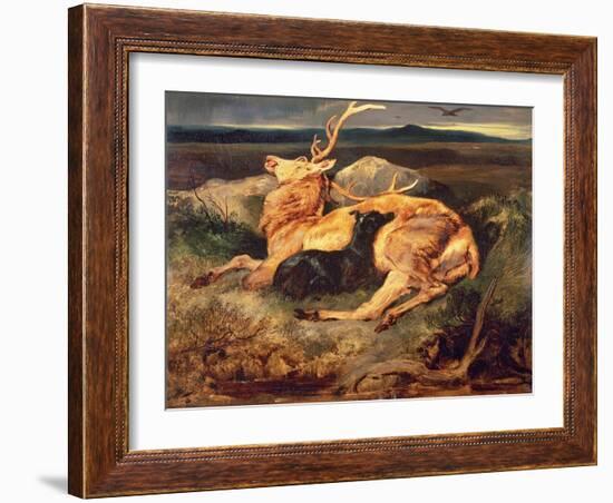 Stag-Edwin Henry Landseer-Framed Giclee Print