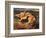 Stag-Edwin Henry Landseer-Framed Giclee Print