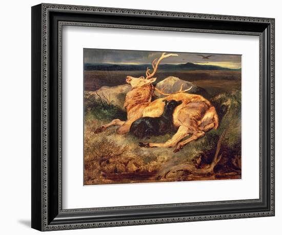 Stag-Edwin Henry Landseer-Framed Giclee Print