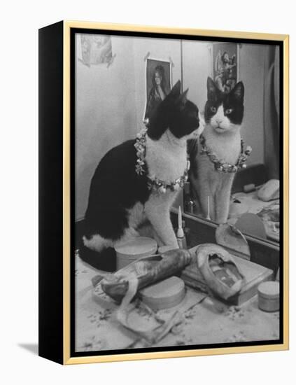 Stage Cat-Godfrey Thurston Hopkins-Framed Premier Image Canvas