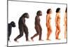 Stages In Female Human Evolution-David Gifford-Mounted Photographic Print