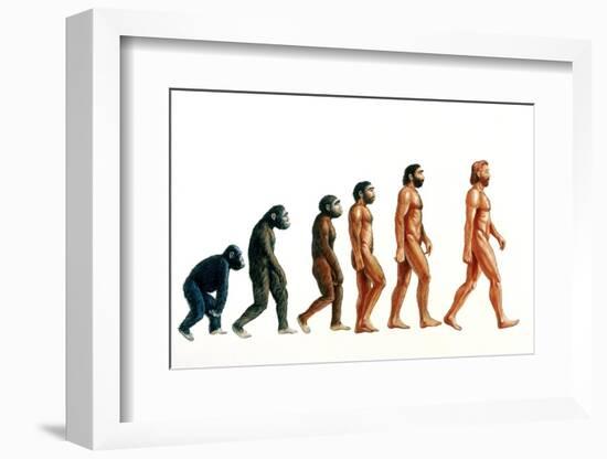 Stages In Human Evolution-David Gifford-Framed Photographic Print