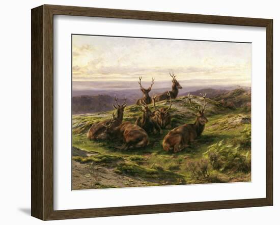 Stags at Rest-Rosa Bonheur-Framed Giclee Print