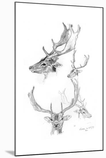 Stags' Heads, 1898-Henry Moore-Mounted Giclee Print