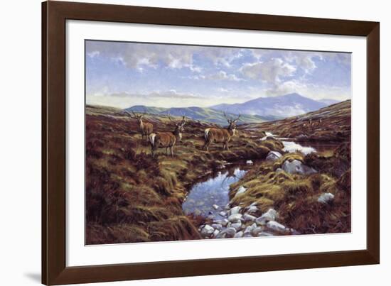 Stags-Peter Munro-Framed Giclee Print