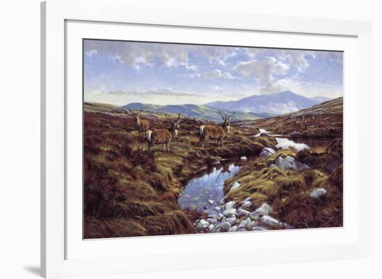 Stags-Peter Munro-Framed Giclee Print