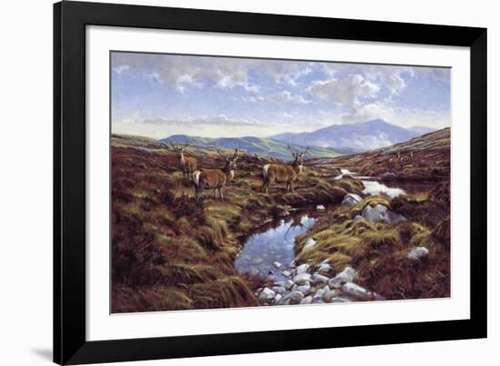 Stags-Peter Munro-Framed Giclee Print