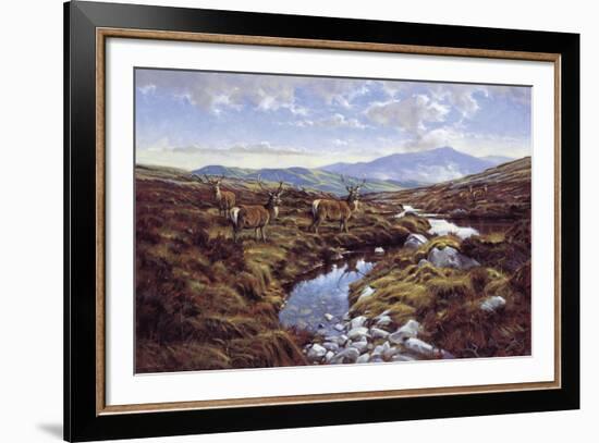 Stags-Peter Munro-Framed Giclee Print