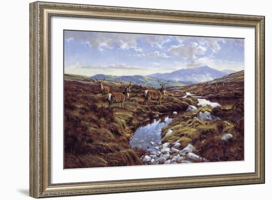 Stags-Peter Munro-Framed Giclee Print