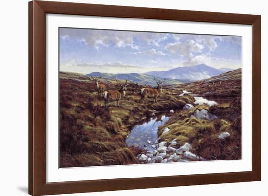 Stags-Peter Munro-Framed Giclee Print