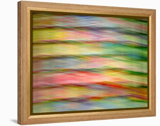 Stained Glass Abstract #1-Steven Maxx-Framed Premier Image Canvas