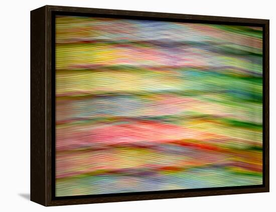 Stained Glass Abstract #1-Steven Maxx-Framed Premier Image Canvas