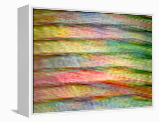 Stained Glass Abstract #1-Steven Maxx-Framed Premier Image Canvas