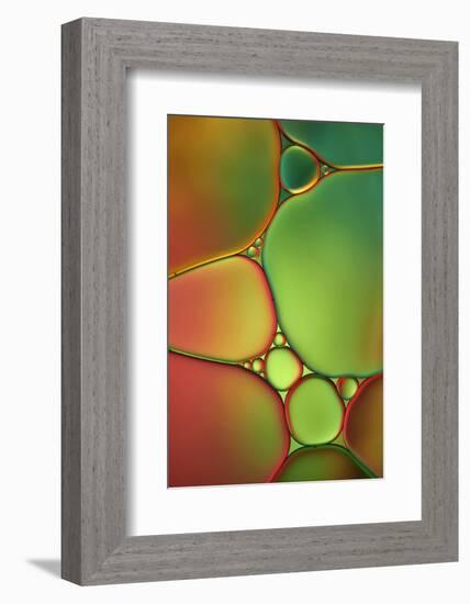 Stained Glass II-Cora Niele-Framed Photographic Print