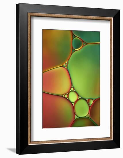 Stained Glass II-Cora Niele-Framed Photographic Print