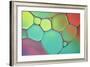 Stained Glass III-Cora Niele-Framed Photographic Print