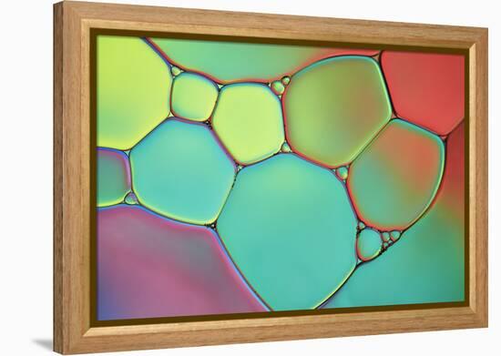 Stained Glass III-Cora Niele-Framed Premier Image Canvas