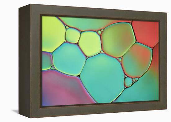 Stained Glass III-Cora Niele-Framed Premier Image Canvas