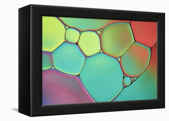 Stained Glass III-Cora Niele-Framed Premier Image Canvas