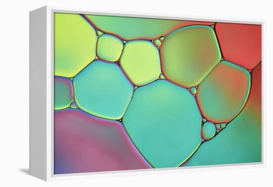 Stained Glass III-Cora Niele-Framed Premier Image Canvas