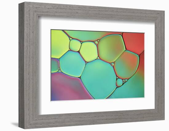 Stained Glass III-Cora Niele-Framed Photographic Print