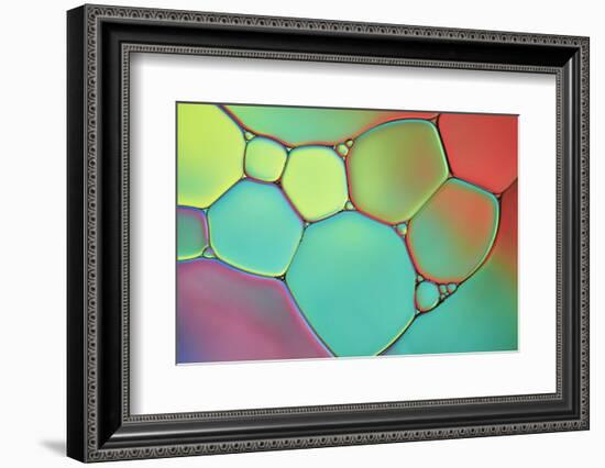 Stained Glass III-Cora Niele-Framed Photographic Print