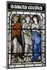 Stained glass of St. Cecilia, Oxford's Cathedral at Christ Church College, Oxford-Godong-Mounted Photographic Print