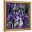 Stained Glass Orchids-Mindy Sommers-Framed Premier Image Canvas
