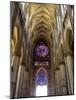 Stained Glass Rose Window, Notre-Dame Cathedral, Reims, Marne, Champagne-Ardenne, France-Richardson Peter-Mounted Photographic Print