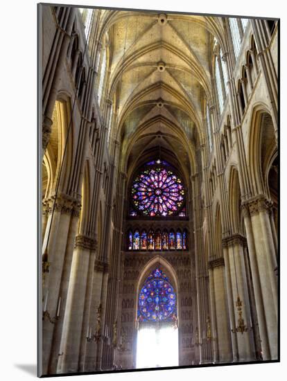 Stained Glass Rose Window, Notre-Dame Cathedral, Reims, Marne, Champagne-Ardenne, France-Richardson Peter-Mounted Photographic Print