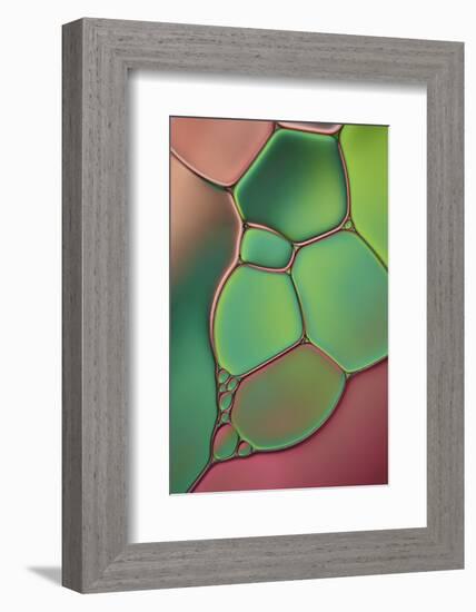 Stained Glass V-Cora Niele-Framed Photographic Print