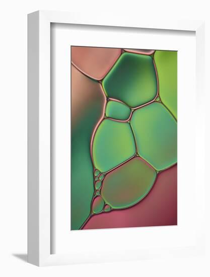 Stained Glass V-Cora Niele-Framed Photographic Print