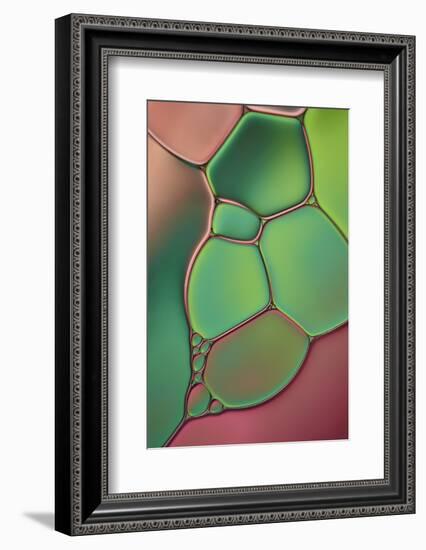 Stained Glass V-Cora Niele-Framed Photographic Print