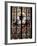Stained Glass Windows in Cologne Cathedral, Cologne, North Rhine Westphalia, Germany-Yadid Levy-Framed Photographic Print