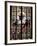 Stained Glass Windows in Cologne Cathedral, Cologne, North Rhine Westphalia, Germany-Yadid Levy-Framed Photographic Print