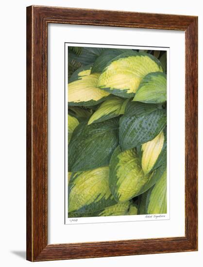 Stained Glass-Stacy Bass-Framed Giclee Print