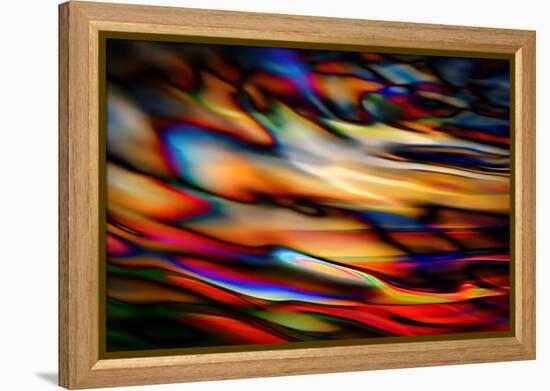 Stained Glass-Ursula Abresch-Framed Premier Image Canvas