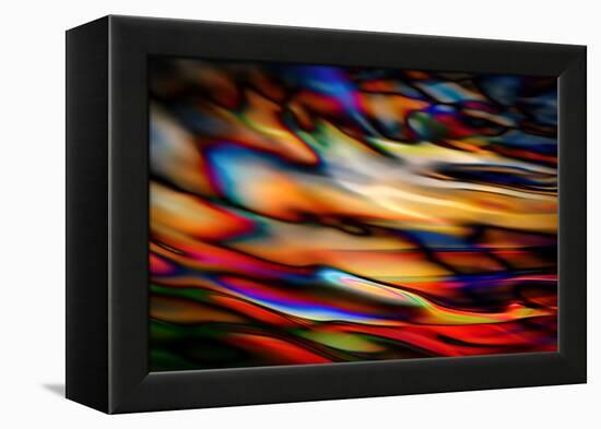 Stained Glass-Ursula Abresch-Framed Premier Image Canvas