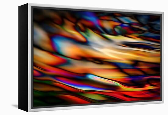 Stained Glass-Ursula Abresch-Framed Premier Image Canvas