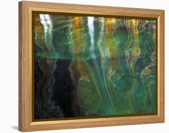 Stained Rock Underwater, Pictured Rocks National Lakeshore, Michigan, USA-Claudia Adams-Framed Premier Image Canvas