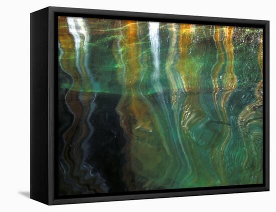 Stained Rock Underwater, Pictured Rocks National Lakeshore, Michigan, USA-Claudia Adams-Framed Premier Image Canvas