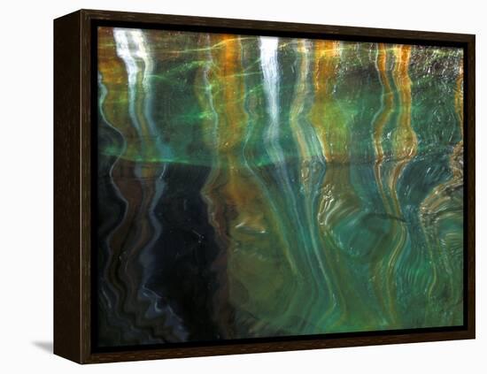 Stained Rock Underwater, Pictured Rocks National Lakeshore, Michigan, USA-Claudia Adams-Framed Premier Image Canvas