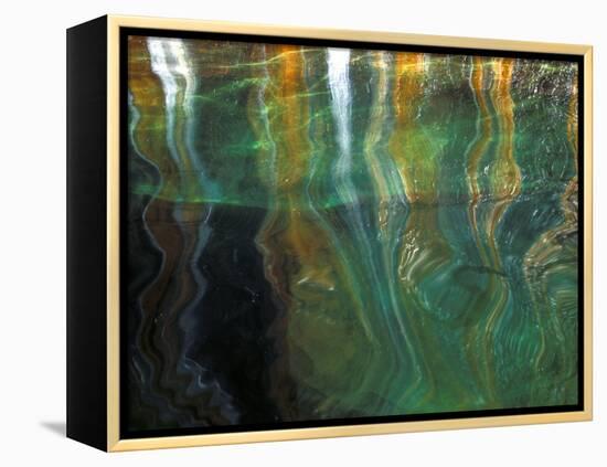 Stained Rock Underwater, Pictured Rocks National Lakeshore, Michigan, USA-Claudia Adams-Framed Premier Image Canvas