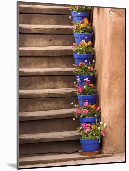 Staircase Decorated with Flower Pots, Santa Fe, New Mexico-Nancy & Steve Ross-Mounted Photographic Print