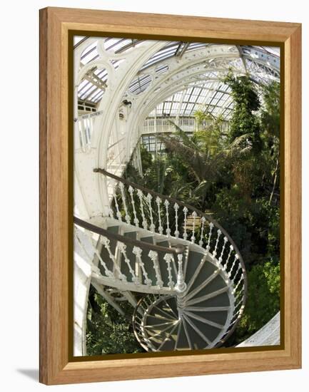 Staircase in Temperate House, Royal Botanic Gardens, UNESCO World Heritage Site, London, England-Peter Barritt-Framed Premier Image Canvas