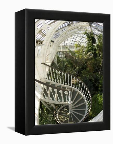 Staircase in Temperate House, Royal Botanic Gardens, UNESCO World Heritage Site, London, England-Peter Barritt-Framed Premier Image Canvas