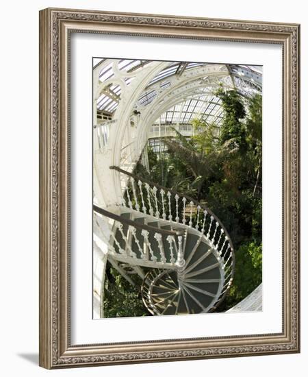 Staircase in Temperate House, Royal Botanic Gardens, UNESCO World Heritage Site, London, England-Peter Barritt-Framed Photographic Print